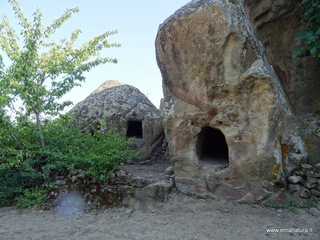 Grottitte di Mojo